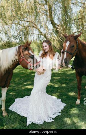 Zwei Hauspferde mit Braut in einem Spitzenkleid Stockfoto