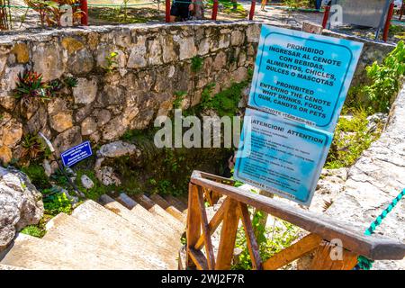 Tulum Quintana Roo Mexiko 01. Oktober 2023 Eintritt zum Cenote Tankach Ha Tankach-Ha Sinkloch mit Kalksteinfelsen und blautürkisfarbenem Wasser in Coba Mun Stockfoto