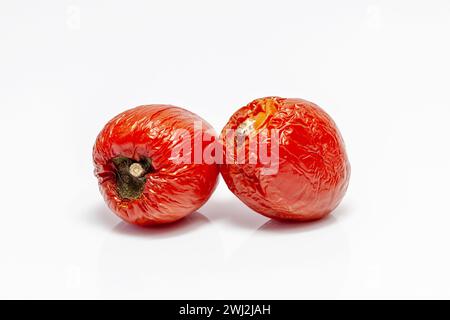 Verfaulte Tomaten, isoliert auf weiß. Schimmelige und verdorbene Tomate. Gemüse mit einer Krankheit Stockfoto