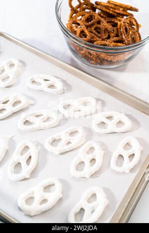 Pretzel Twist Mit Schokoladenüberzogene Gourmet-Spezialitäten Stockfoto
