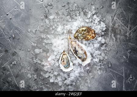 Austern mit Zitrone auf Eis auf grauem Hintergrund Nahaufnahme Stockfoto