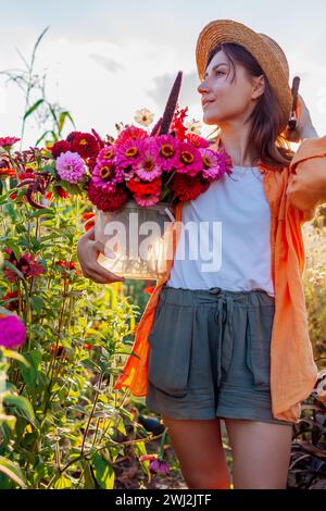 Porträt einer Farmerin, die bei Sonnenuntergang im Sommergarten Blumen im Eimer pflückt. Schnittblumenernte von Zinnias Amaranth Dahlien. Stockfoto