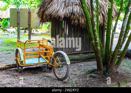 Mieten Sie sich ein Fahrraddreirad und fahren Sie durch den Dschungel Coba Ruins Adventure in der Gemeinde Coba Tulum Quintana Roo Mexiko. Stockfoto