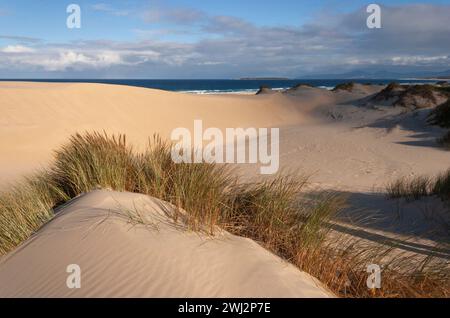 Peron-Dünen im Schutzgebiet St. Helens an der Ostküste Tasmaniens in Australien Stockfoto