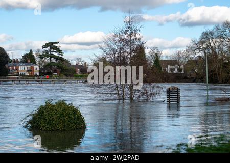 Marlow, Großbritannien. Februar 2024. Hochwasser auf dem Gelände des MacDonald Compleat Angler Hotels in Marlow neben Marlow Weir. Die Themse hat ihre Ufer in Marlow, Buckinghamshire, geplatzt. Für die Themse von Hurley nach Cookham, einschließlich Harleyford, Bisham, Marlow und Bourne End, gibt es einen Hochwasseralarm. Quelle: Maureen McLean/Alamy Live News Stockfoto