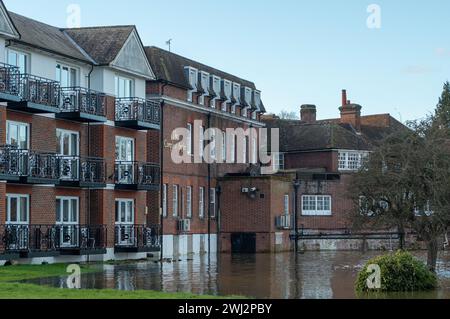 Marlow, Großbritannien. Februar 2024. Hochwasser auf dem Gelände des MacDonald Compleat Angler Hotels in Marlow neben Marlow Weir. Die Themse hat ihre Ufer in Marlow, Buckinghamshire, geplatzt. Für die Themse von Hurley nach Cookham, einschließlich Harleyford, Bisham, Marlow und Bourne End, gibt es einen Hochwasseralarm. Quelle: Maureen McLean/Alamy Live News Stockfoto