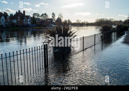 Marlow, Großbritannien. Februar 2024. Die Themse hat ihre Ufer in Marlow, Buckinghamshire, geplatzt. Für die Themse von Hurley nach Cookham, einschließlich Harleyford, Bisham, Marlow und Bourne End, gibt es einen Hochwasseralarm. Quelle: Maureen McLean/Alamy Live News Stockfoto