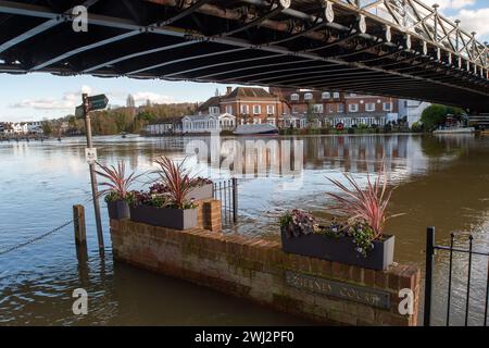 Marlow, Großbritannien. Februar 2024. Die Themse hat ihre Ufer in Marlow, Buckinghamshire, geplatzt. Für die Themse von Hurley nach Cookham, einschließlich Harleyford, Bisham, Marlow und Bourne End, gibt es einen Hochwasseralarm. Quelle: Maureen McLean/Alamy Live News Stockfoto