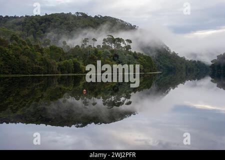 Pieman River in Corinna an der Westküste Tasmaniens in Australien Stockfoto