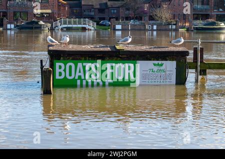 Marlow, Großbritannien. Februar 2024. Die Themse hat ihre Ufer in Marlow, Buckinghamshire, geplatzt. Für die Themse von Hurley nach Cookham, einschließlich Harleyford, Bisham, Marlow und Bourne End, gibt es einen Hochwasseralarm. Quelle: Maureen McLean/Alamy Live News Stockfoto