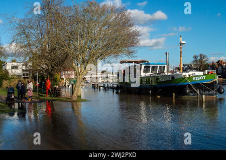 Marlow, Großbritannien. Februar 2024. Die Themse hat ihre Ufer in Marlow, Buckinghamshire, geplatzt. Für die Themse von Hurley nach Cookham, einschließlich Harleyford, Bisham, Marlow und Bourne End, gibt es einen Hochwasseralarm. Quelle: Maureen McLean/Alamy Live News Stockfoto