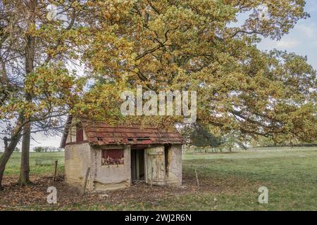 Die alte Rinderscheune auf der Weide Stockfoto