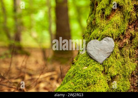 Beerdigungsherz Sympathie oder Stein Beerdigungsherz in der Nähe eines Baumes. Natürliches Grabmal im Wald. Herz Stockfoto