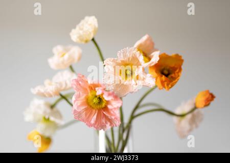 Das Bild zeigt eine lebhafte Darstellung von orangefarbenen Blüten, deren Blütenblätter in verschiedenen Farbtönen dieses warmen Farbtons ausstrahlen. Stockfoto