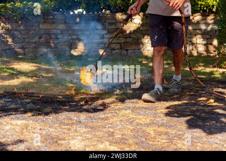 Rasen verbrennen. Mann zerstört trockenes totes Gras mit dem Unkrautbrenner, Gartengasbrenner. Schneller Brand von Sprea Stockfoto