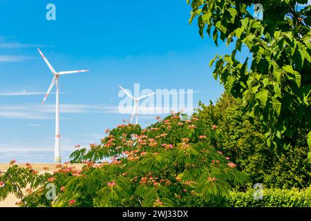 Windturbinen in grüner Landschaft. Blick von einem Wohngarten im Hinterhof. Konzept der Entfernung Stockfoto