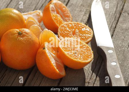 Citrus x clementina SRA 89, Clementine, sortieren Stockfoto