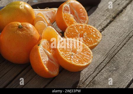 Citrus x clementina SRA 89, Clementine, sortieren Stockfoto
