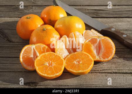 Citrus x clementina SRA 89, Clementine, sortieren Stockfoto