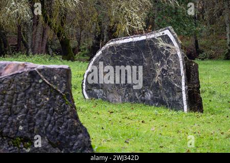 O Rexo Ecospace, malerische und skulpturale Intervention des Künstlers Agustín Ibarrola auf einen natürlichen Raum, Allariz, Ourense, Galicien, Spanien Stockfoto