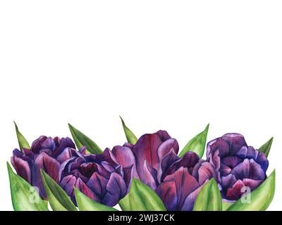 Frühlingsstrauß mit violetten Tulpen. Rahmen. Aquarellabbildungen lila Tulpen. Botanische Frühlingsblüten-Clipart für Hochzeitseinladungshintergrund Stockfoto