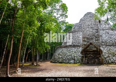 Xaibe at Coba Maya ruiniert die alten Gebäude und Pyramiden im tropischen Walddschungel in der Gemeinde Coba Tulum Quintana Roo Mexiko. Stockfoto