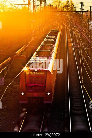 Hochwinkelansicht vieler Gleise mit lokalem Zug bei Sonnenuntergang, Frankfurt am Main, Deutschland, Europa â€‹ Stockfoto