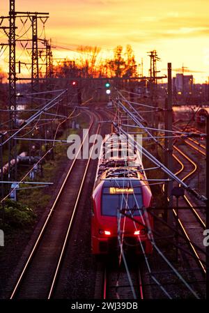 Hochwinkelansicht vieler Gleise mit lokalem Zug bei Sonnenuntergang, Frankfurt am Main, Deutschland, Europa â€‹ Stockfoto