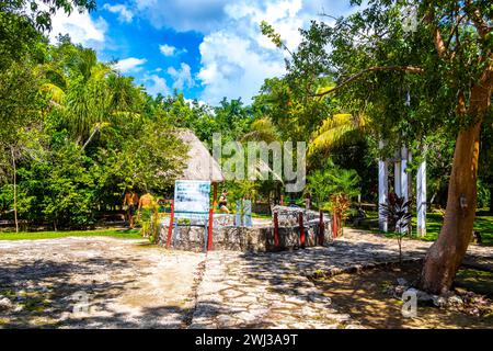 Tulum Quintana Roo Mexiko 01. Oktober 2023 Eintritt zum Cenote Tankach Ha Tankach-Ha Sinkloch mit Kalksteinfelsen und blautürkisfarbenem Wasser in Coba Mun Stockfoto