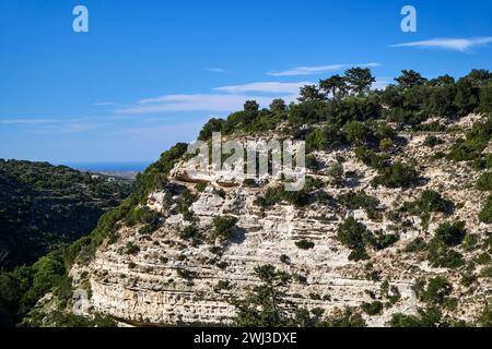 Felsige Klippen mit Büschen und Bäumen auf der Insel Kreta, Griechenland Stockfoto