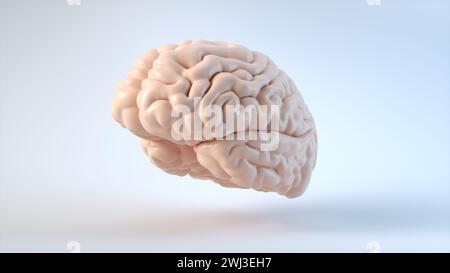Realistisches Modell des Gehirns. Banner für medizinische Anwendungen, Bildungsseiten. Poster mit Platz für Text. 3D-Rendering-Abbildung. Stockfoto