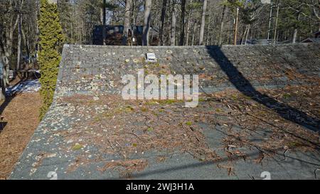 Das Dach muss repariert werden, da die beschädigten asphaltierten Dachschindeln mit Baumrückständen, Nadeln und Moos bedeckt sind Stockfoto