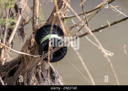 Eine Spule von Angelschnur, die in den Ästen eines Baumes am Ufer eines Flusses befestigt ist Stockfoto