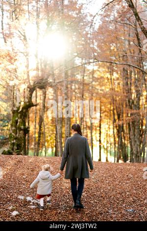 Mom und ein kleines Mädchen gehen durch die gefallenen Blätter in einem sonnigen Wald und halten die Hände. Rückansicht Stockfoto