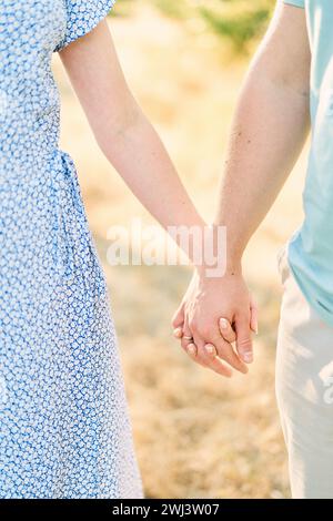 Der Ehemann hält seine Frau Hand, während er auf einem sonnigen Feld steht. Abgeschnitten. Gesichtslos Stockfoto