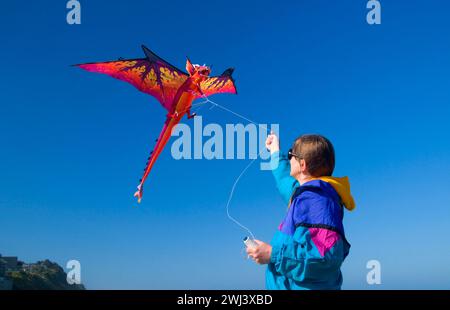 Kiteflying, Dee River State Park, Lincoln City, Oregon Stockfoto