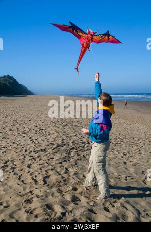 Kiteflying, Dee River State Park, Lincoln City, Oregon Stockfoto