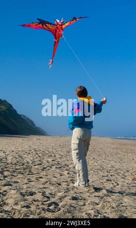 Kiteflying, Dee River State Park, Lincoln City, Oregon Stockfoto