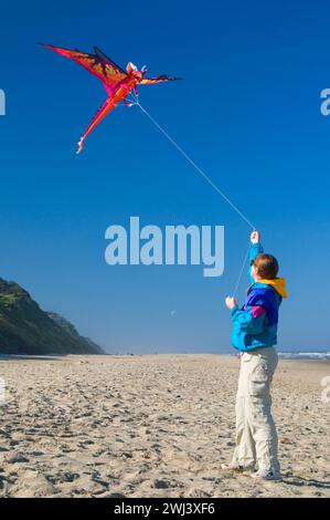 Kiteflying, Dee River State Park, Lincoln City, Oregon Stockfoto