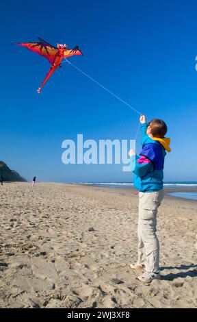 Kiteflying, Dee River State Park, Lincoln City, Oregon Stockfoto