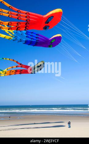 Octopus Drachen, Lincoln City Summer Kite Festival, Dee River State Park, Oregon Stockfoto