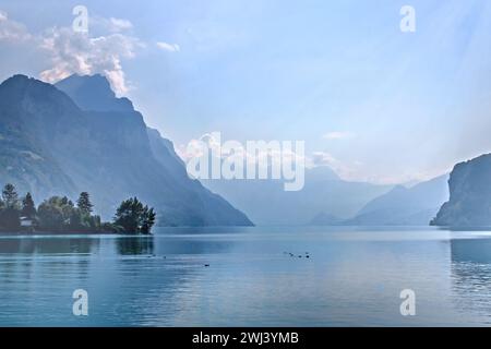 Walsee mit den Schweizer Alpen Stockfoto