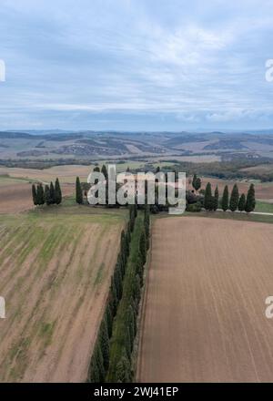 Die Zypressenallee führt zu einem toskanischen Landgut in der Nähe von San Quirico d'Orcia Stockfoto