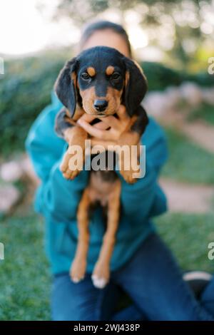 Großer Welpe in den Armen einer jungen Frau, die auf dem Gras sitzt Stockfoto