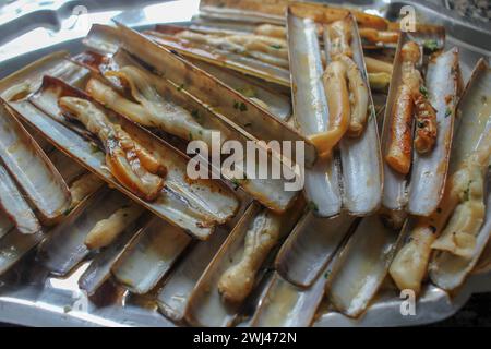 Köstliche Muscheln zum Mittagessen in Galicien, Spanien Stockfoto