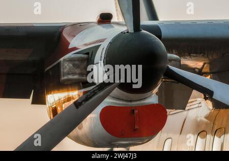 Propellerblätter eines alten Vintage-Flugzeugs aus nächster Nähe Stockfoto