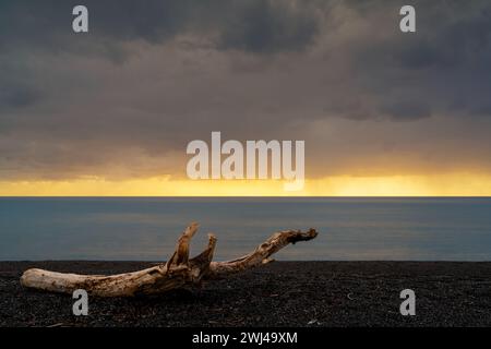 Sonnenuntergang am Praia a Mare an der Coasta di Maratea im Südwesten Italiens mit Treibholz Stockfoto