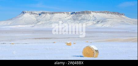 Panorama der Heuballen unter dem Quadrat butte im Winter in der Nähe von Cascade, montana Stockfoto