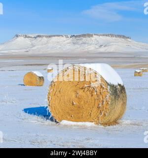 Heuballen unterhalb des quadratischen butte im Winter in der Nähe von Cascade, montana Stockfoto