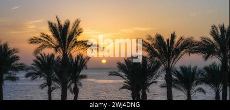 Lassen Sie die Sonne über dem Roten Meer und die Silhouette der Palmen am Ufer Ägyptens in Scharm El Sheikh erstrahlen Stockfoto
